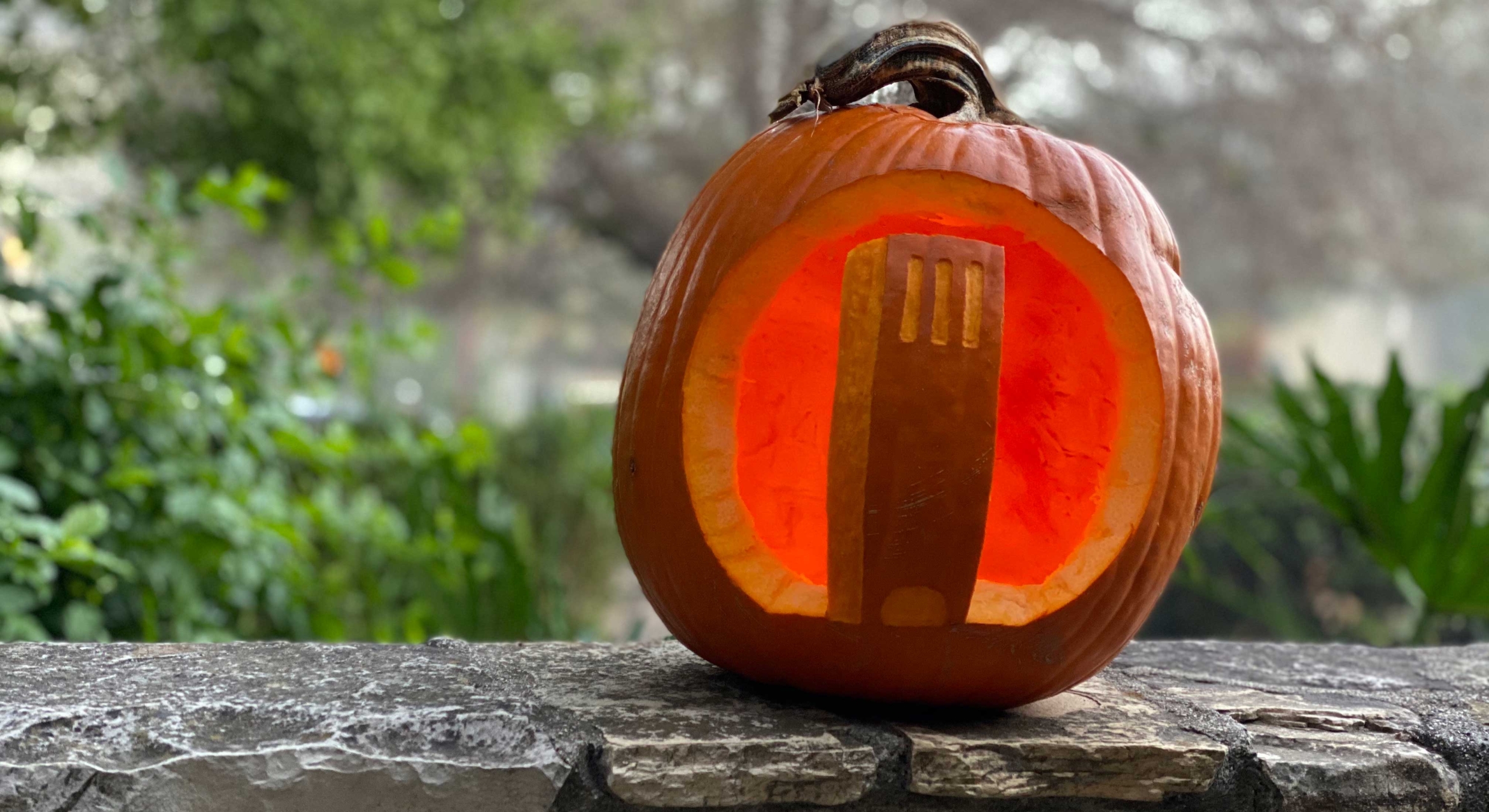 pumpkin with Storke tower carved in it