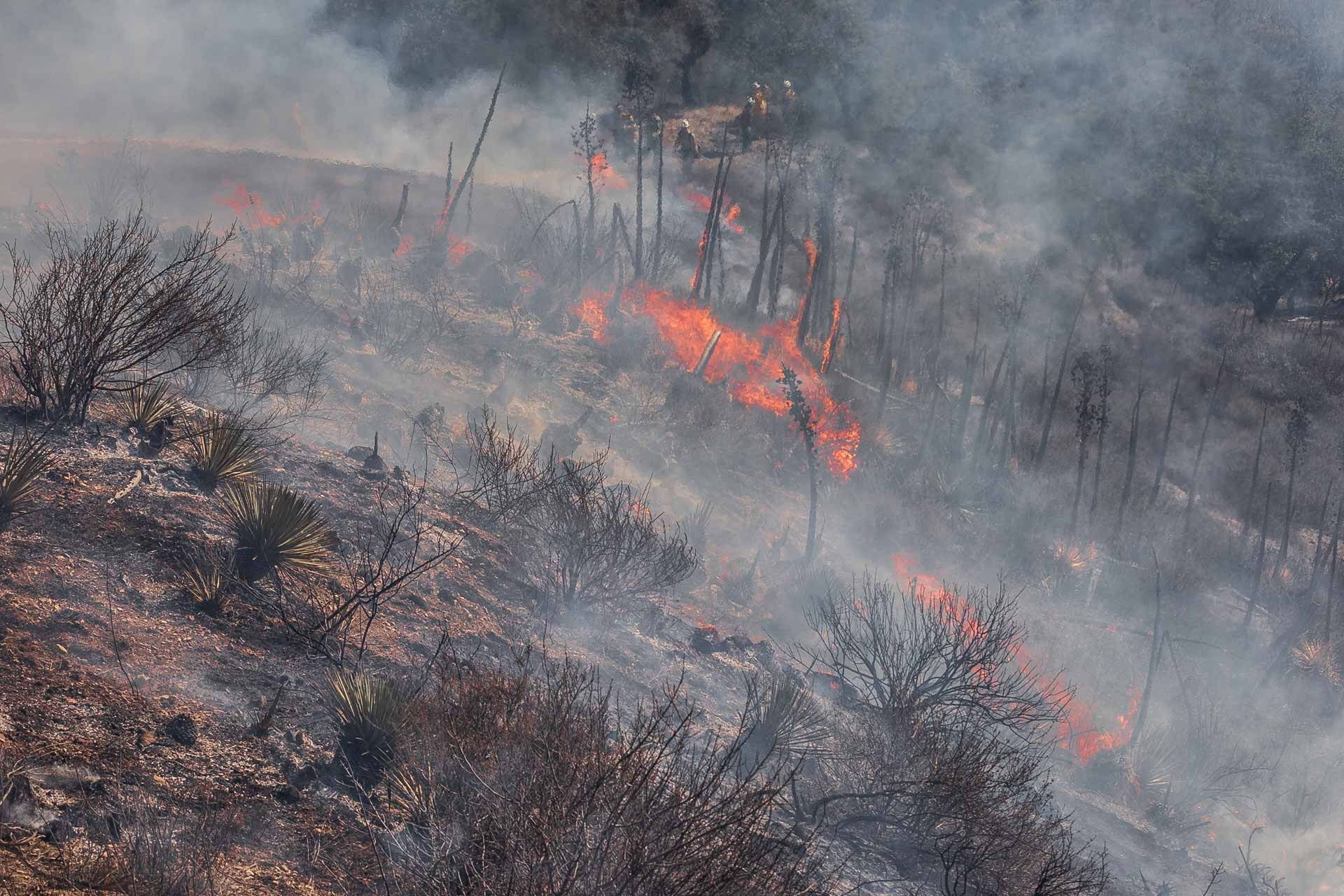 A fire burns the side of a hill while firefighters work in the distance