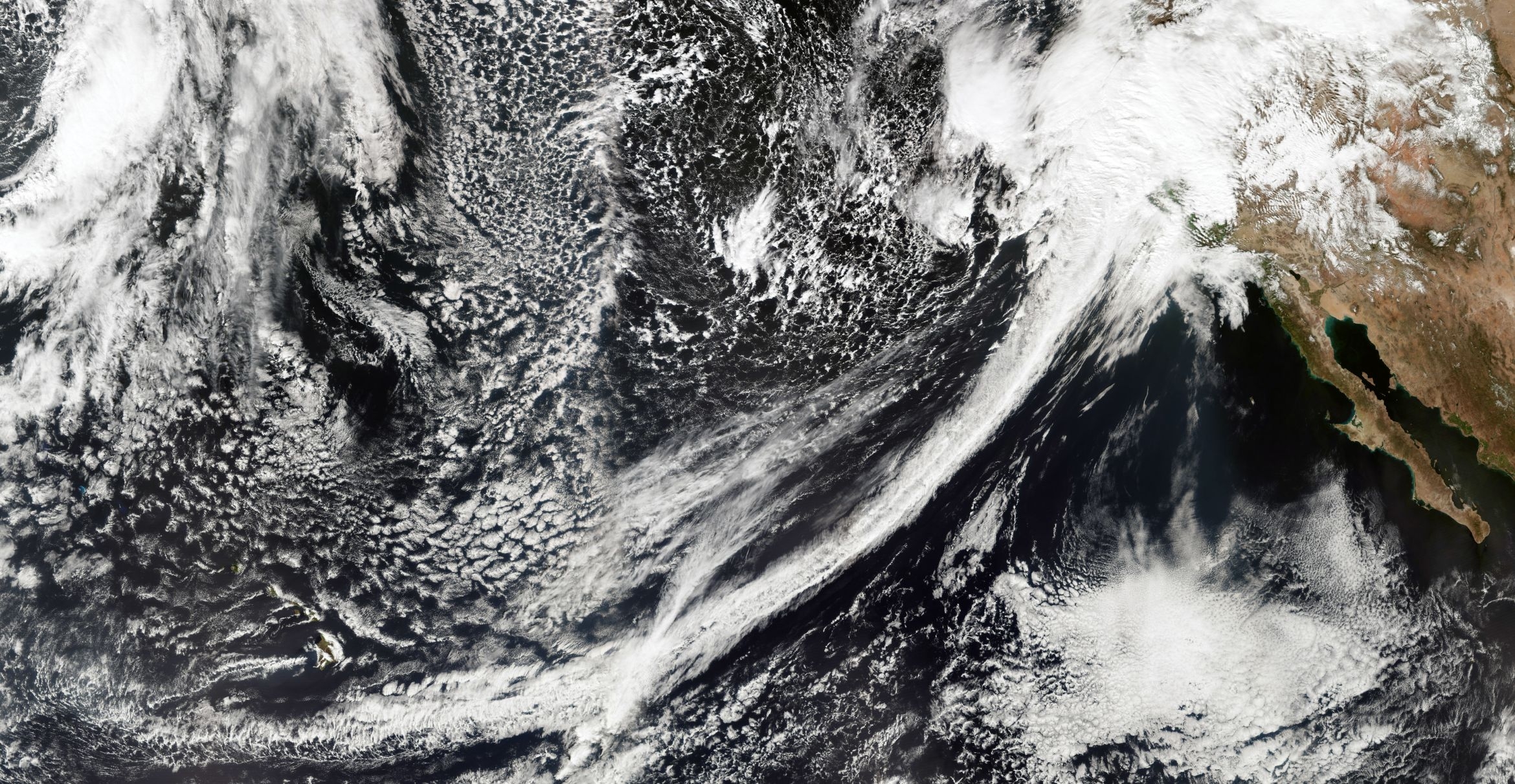 A line of clouts stretches from the tropical Pacific to western North America where it becomes a massive storm.