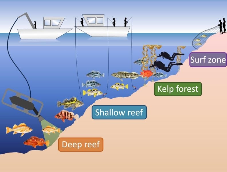 An illustration of different sampling techniques used by monitoring groups.