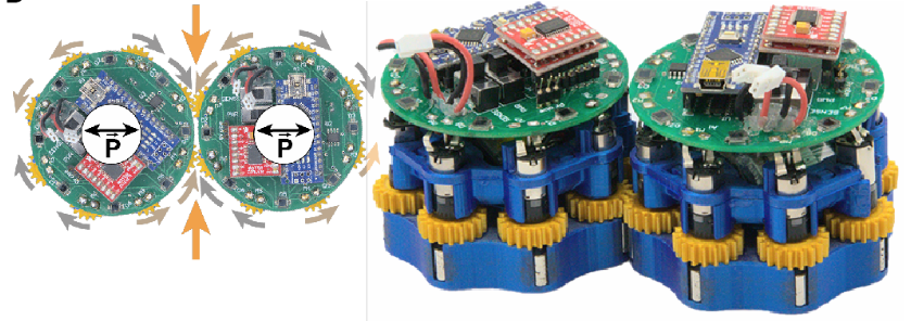 picture of disk-shaped robots with gears