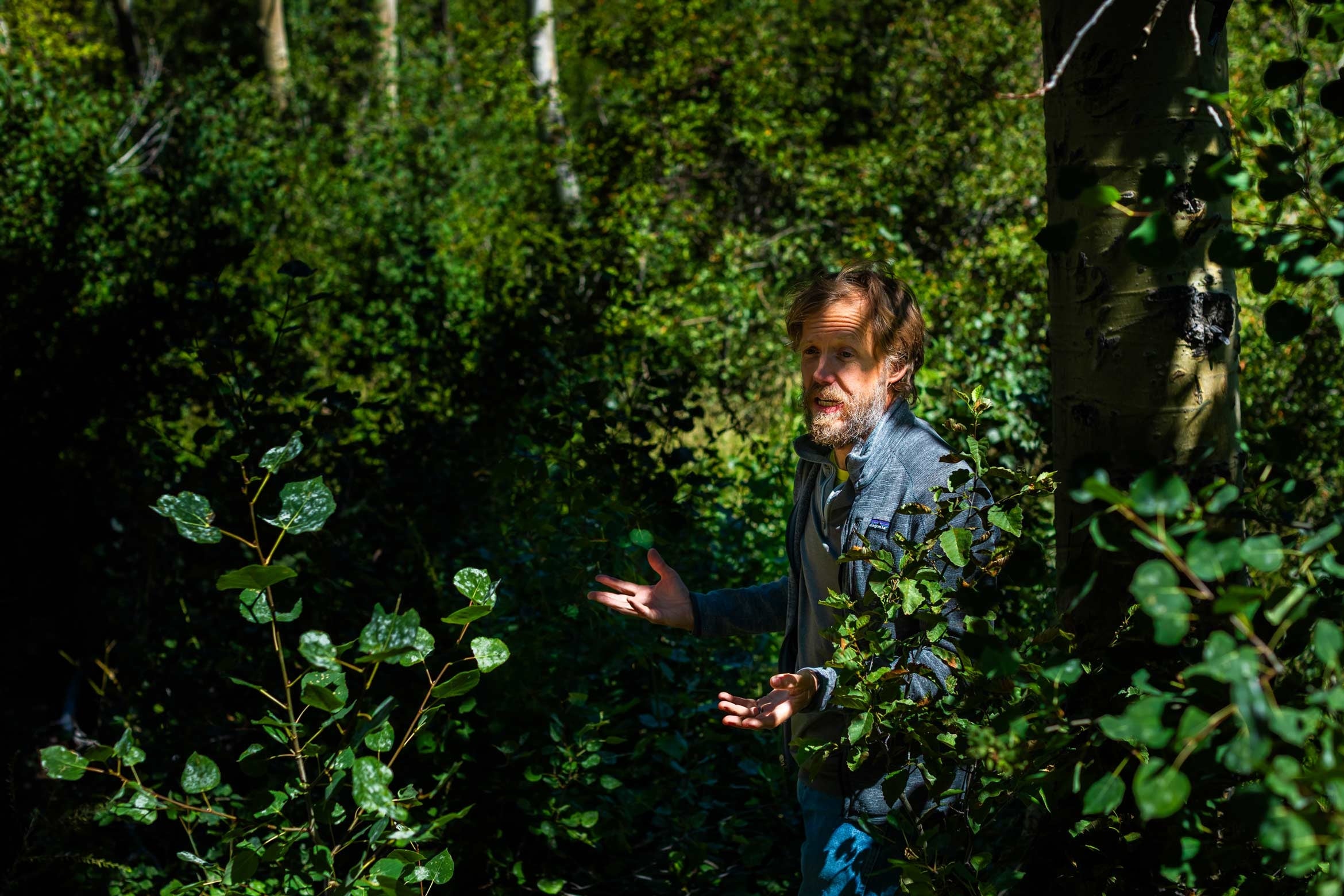 Doug McCauley in dappled light under a tree