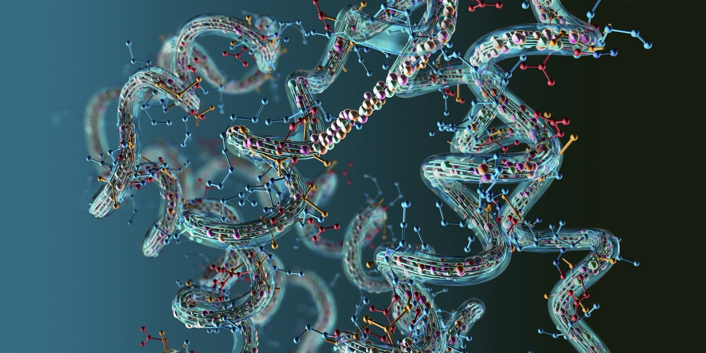 concept illustration of amino acid chains that form proteins