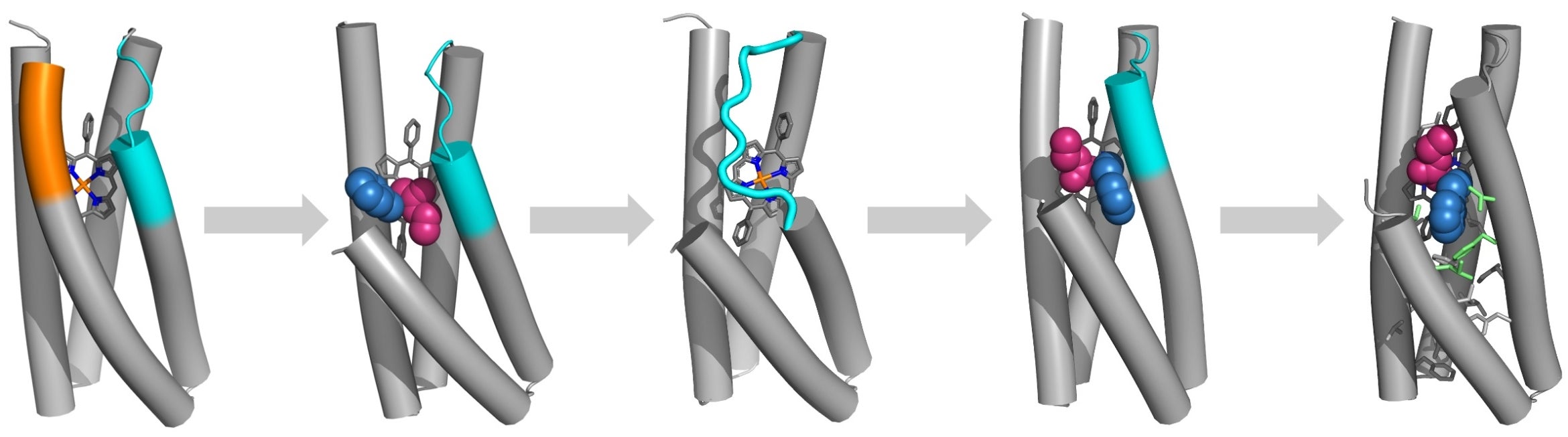 illustration of enzyme design workflow
