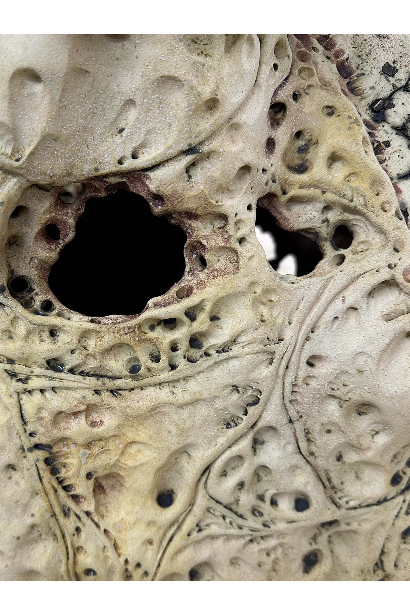 A ceramic fossil sculpture