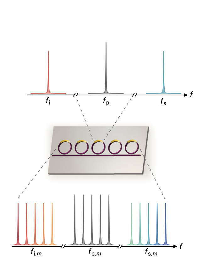 illustration of microresonator ring array
