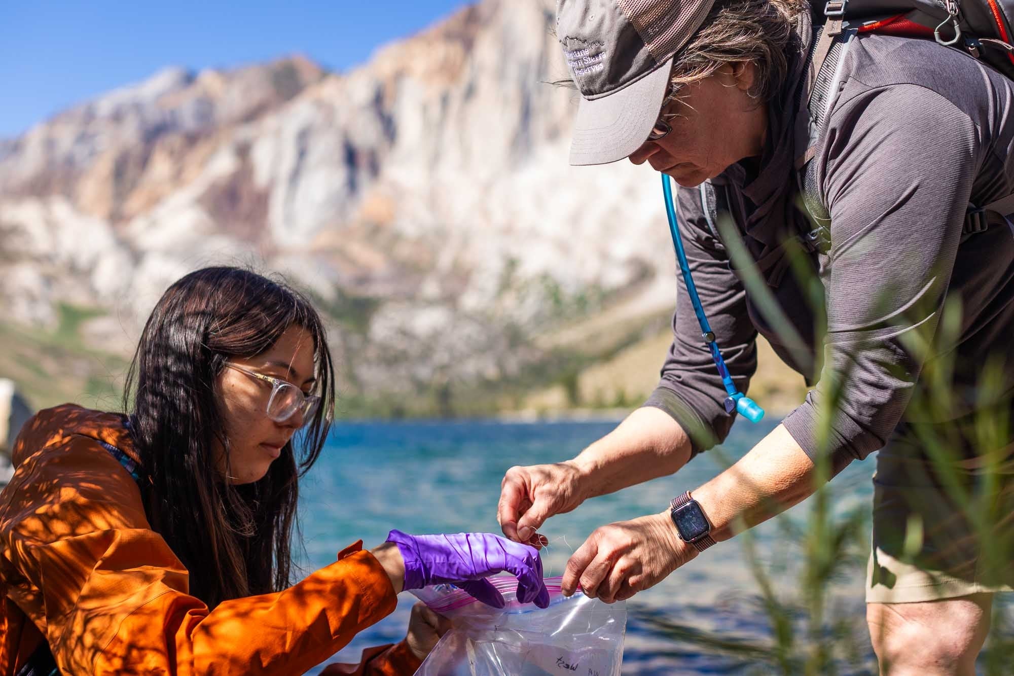 student and professor collecting fishing line fragments at Convict Lake