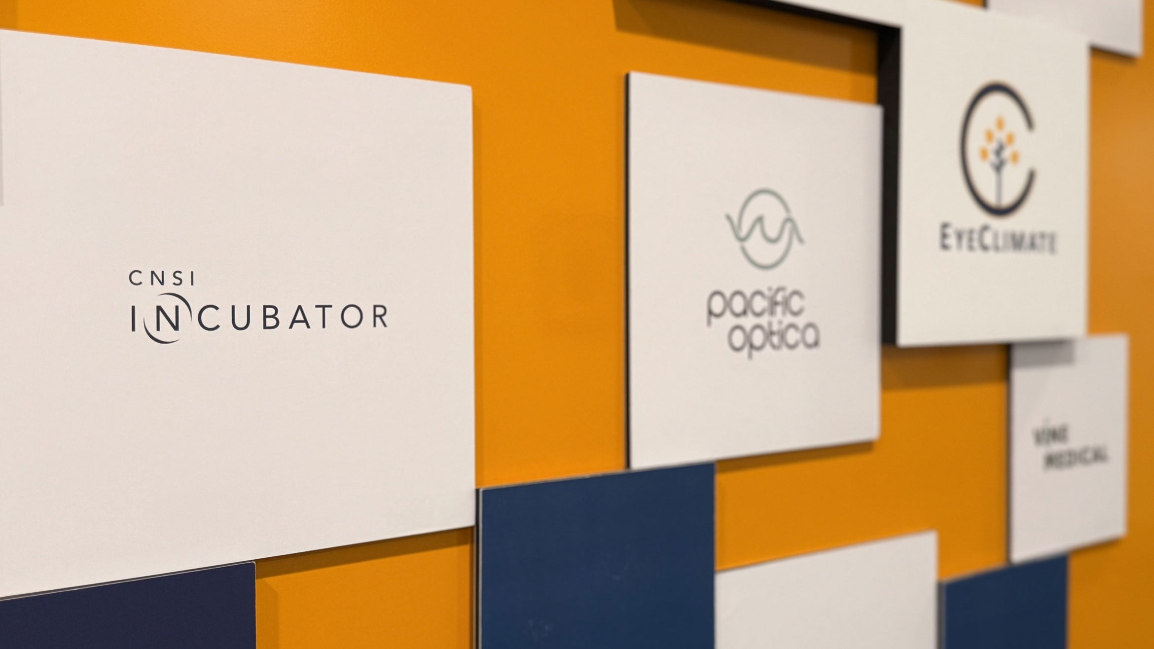 White signs on a blue and gold wall