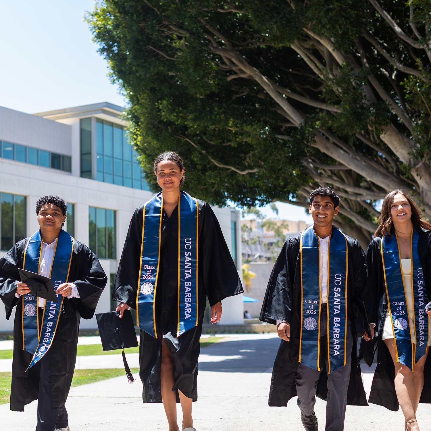 four graduates walking side by side with their regalia on