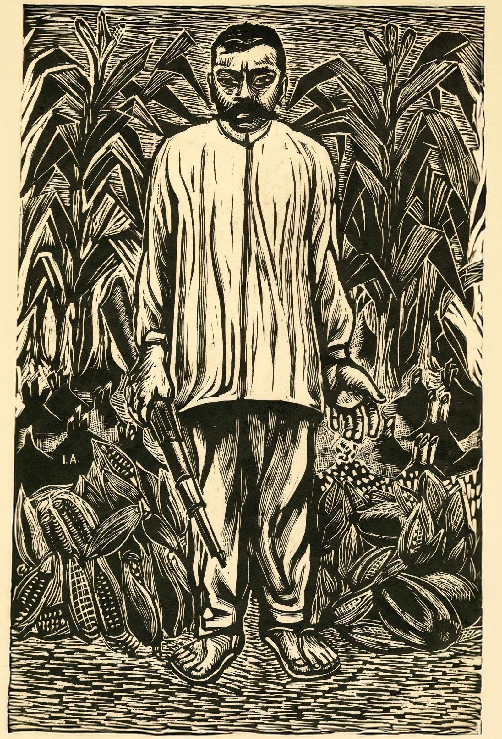 man in corn field