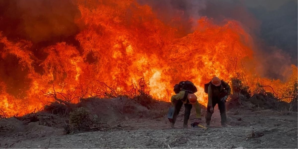 A pair of hotshots pick up their tools as flames torch the brush immediately behind them.