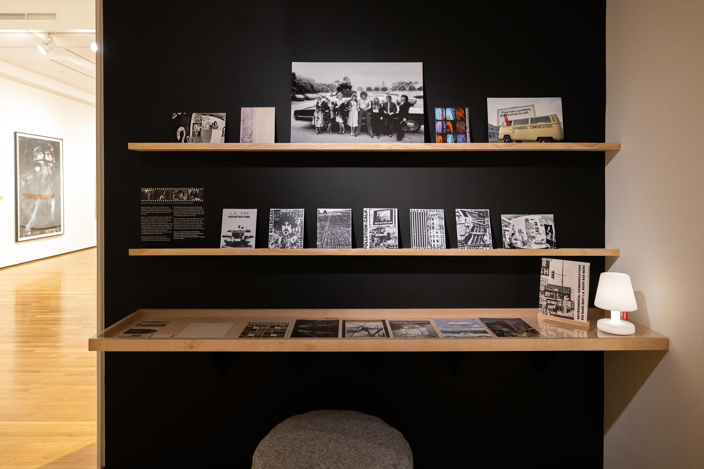 bookshelf with zines