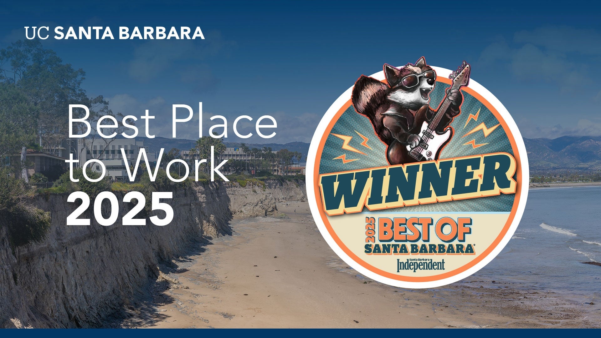 raccoon playing guitar