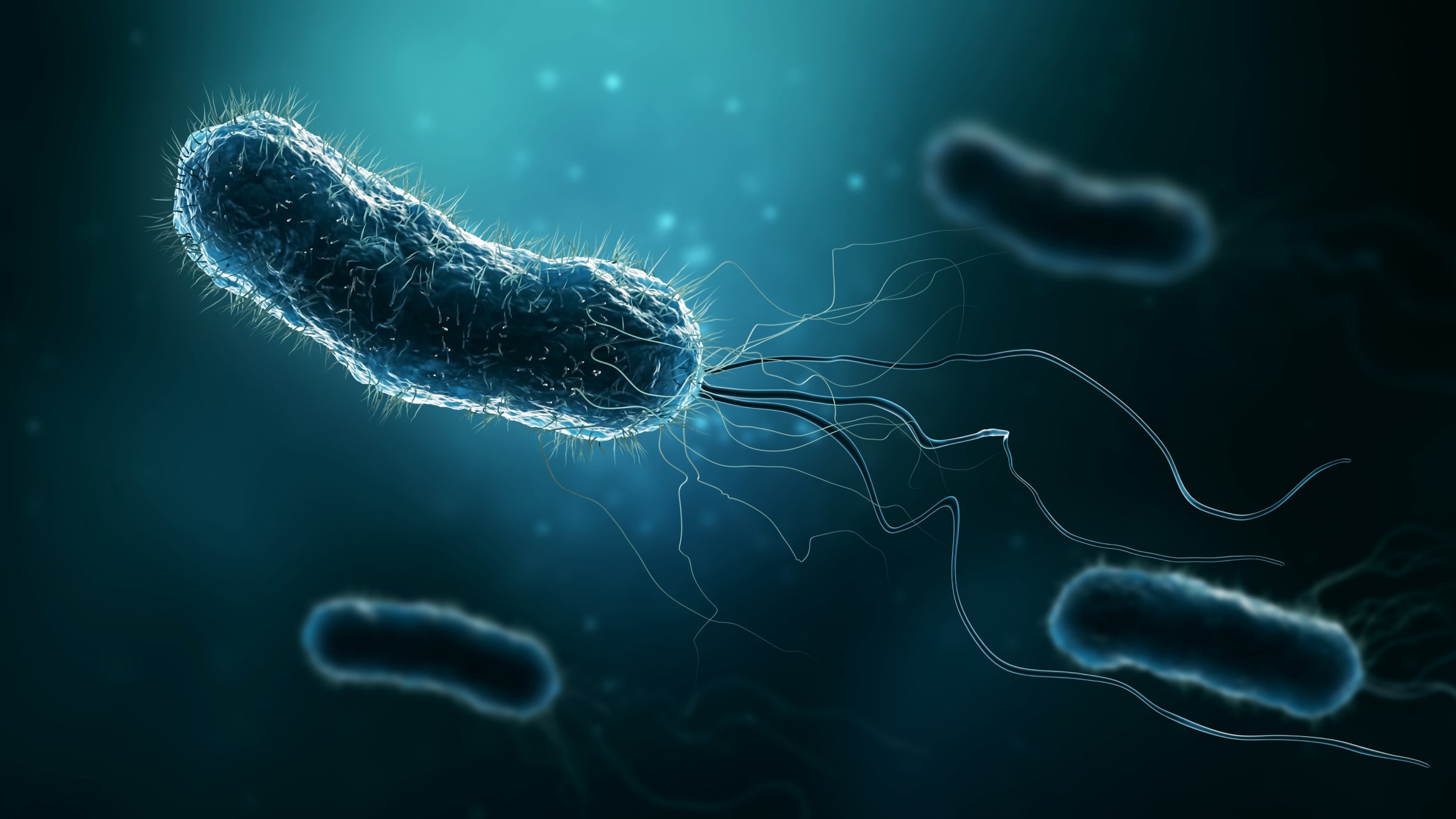 illustration of swimming microbes on dark background