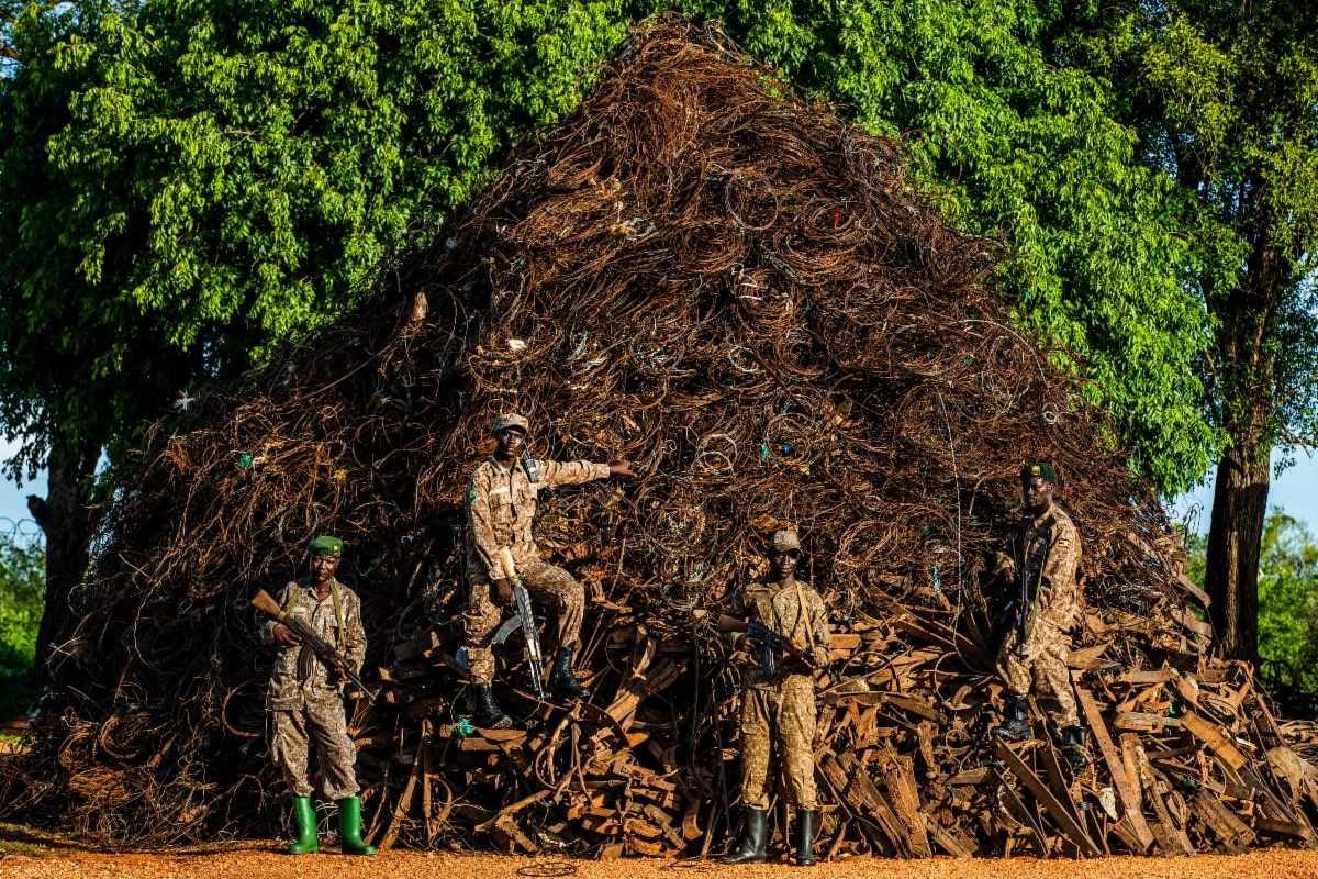 Rangers pose in front of a pile of wire snares and wheel traps the size of a house.