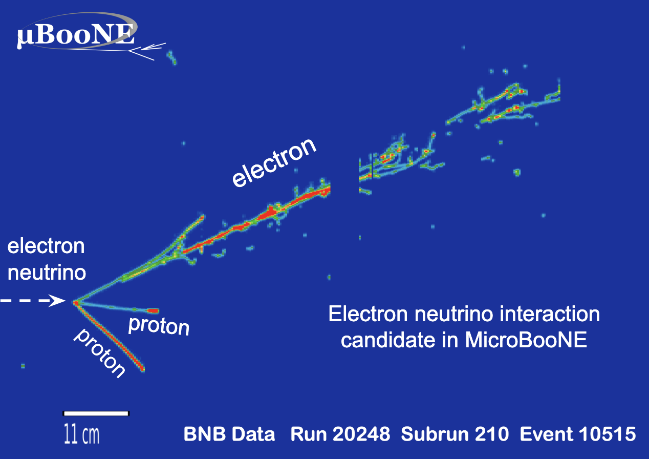 image of electron neutrino in detector