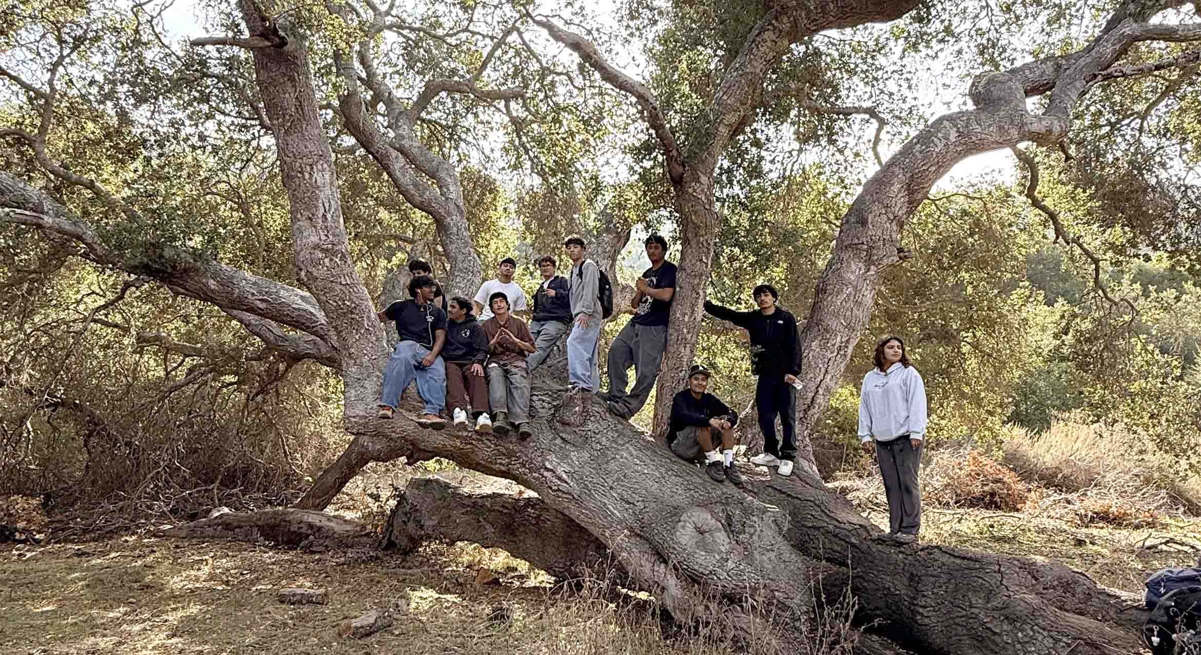 a small group of high school students posed for a picture on the truck of a giant fallen oak tree