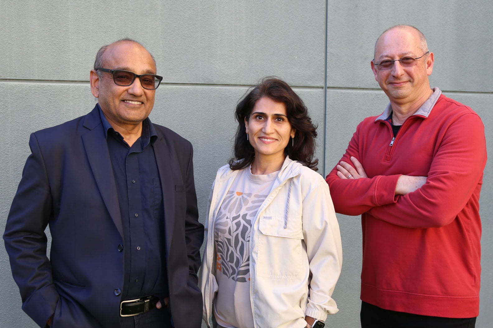 Divy Agrawal, Diba Mirza, Tevfik Bultan