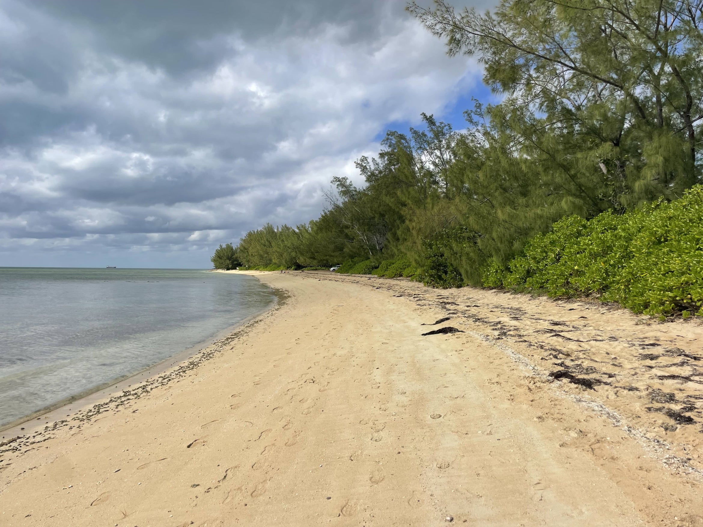 a sandy beach in the Bahamas