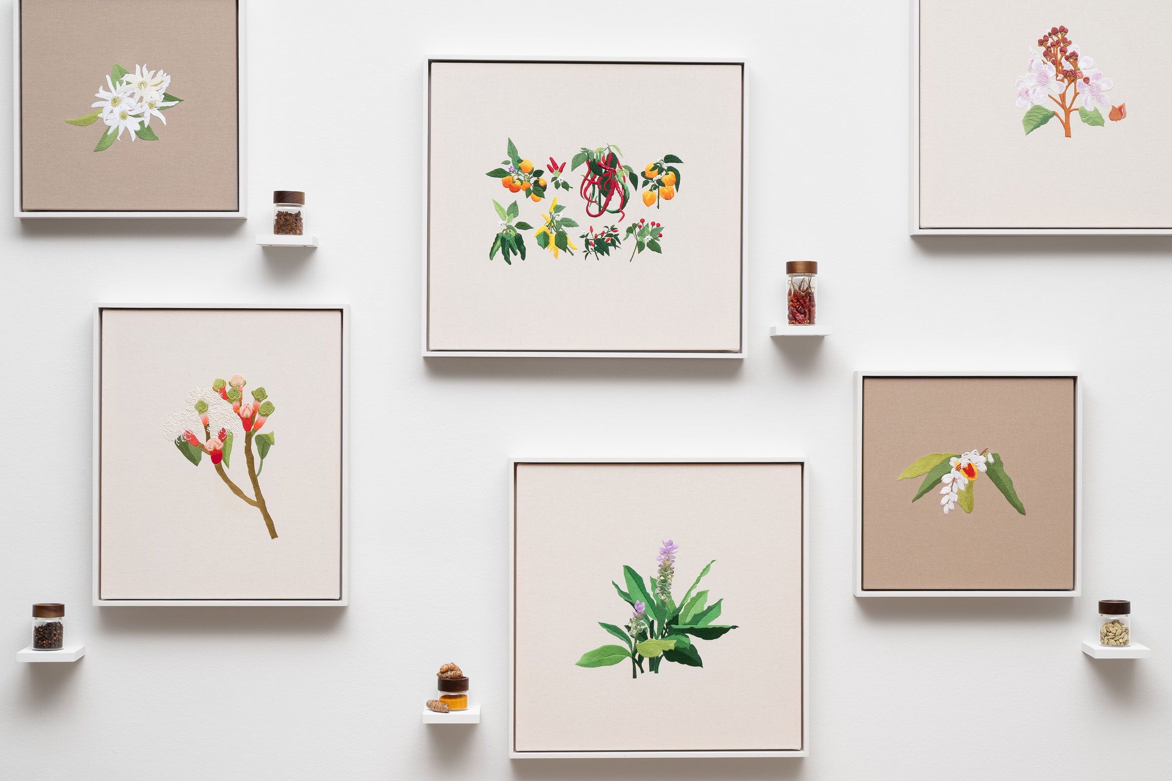framed embroidery works of plants with the real plant in jars next to it all hung on a wall