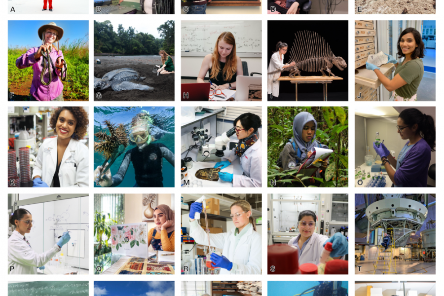 photo grid of different women in science