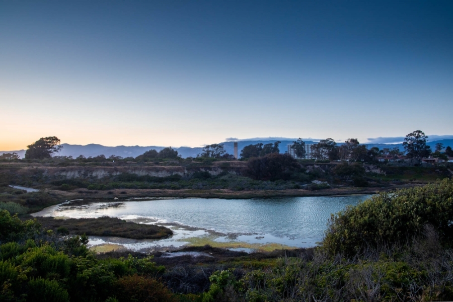 View of UCSB campus from across lagoon with Storke Tower in the distance