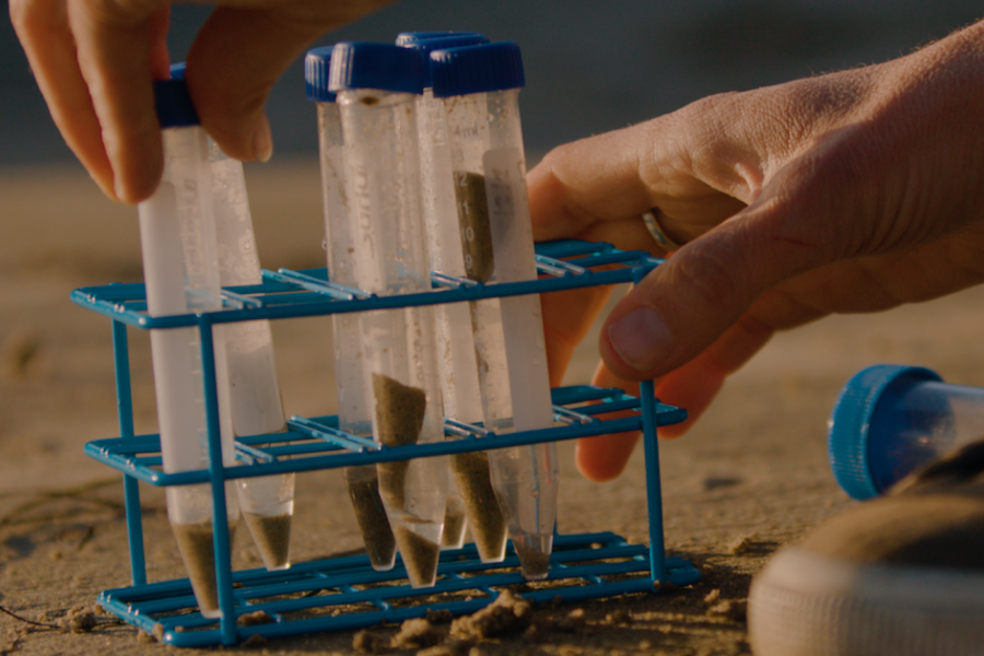 sample tubes containing seawater and sand in a test tube rack
